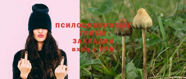 ГАЛЛЮЦИНОГЕННЫЕ ГРИБЫ Алексеевка