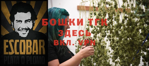 ГАЛЛЮЦИНОГЕННЫЕ ГРИБЫ Алексеевка