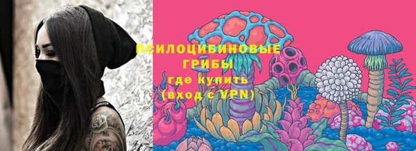 ГАЛЛЮЦИНОГЕННЫЕ ГРИБЫ Алексеевка