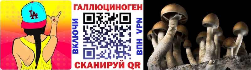 закладка  Усолье-Сибирское  Псилоцибиновые грибы прущие грибы 